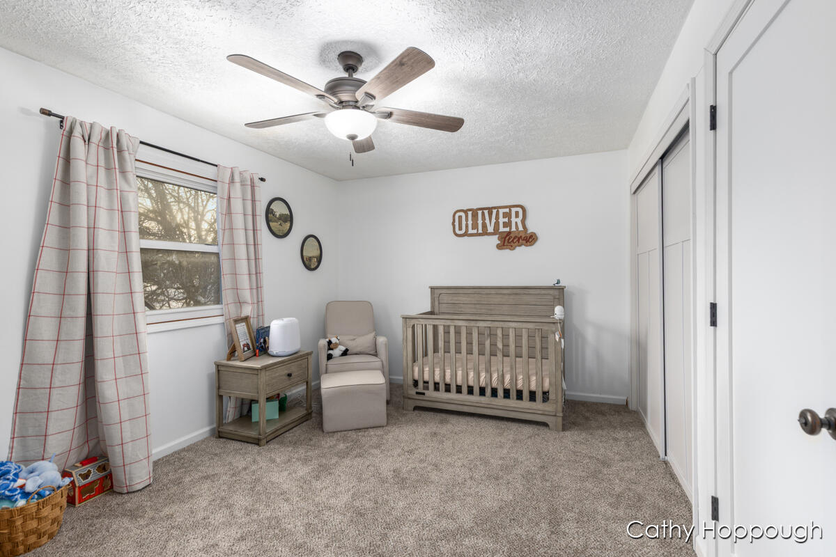 220 North Maple Avenue Maple Rapids, MI 48853 - Photo 15 of 43 IMG_1014