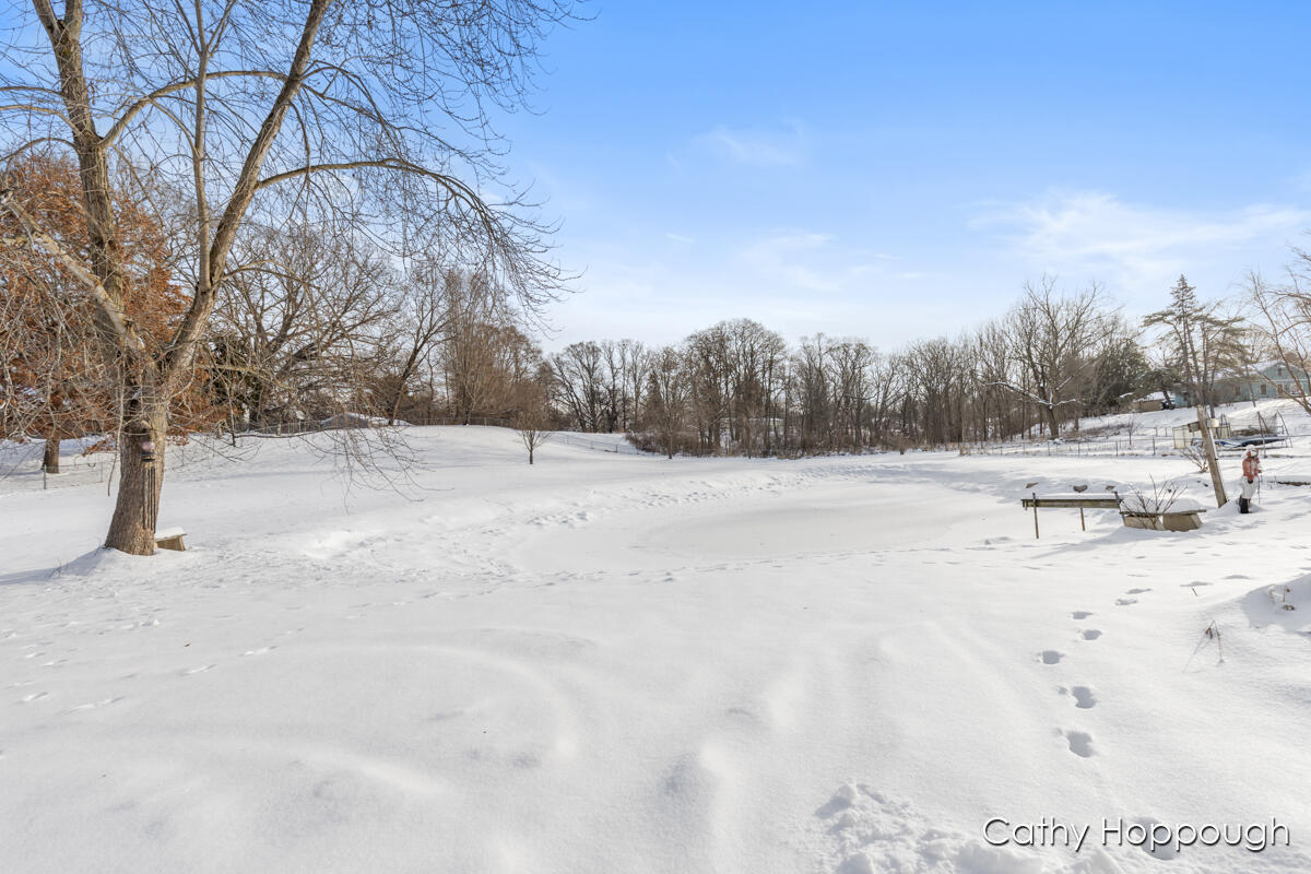 220 North Maple Avenue Maple Rapids, MI 48853 - Photo 26 of 43 IMG_1025