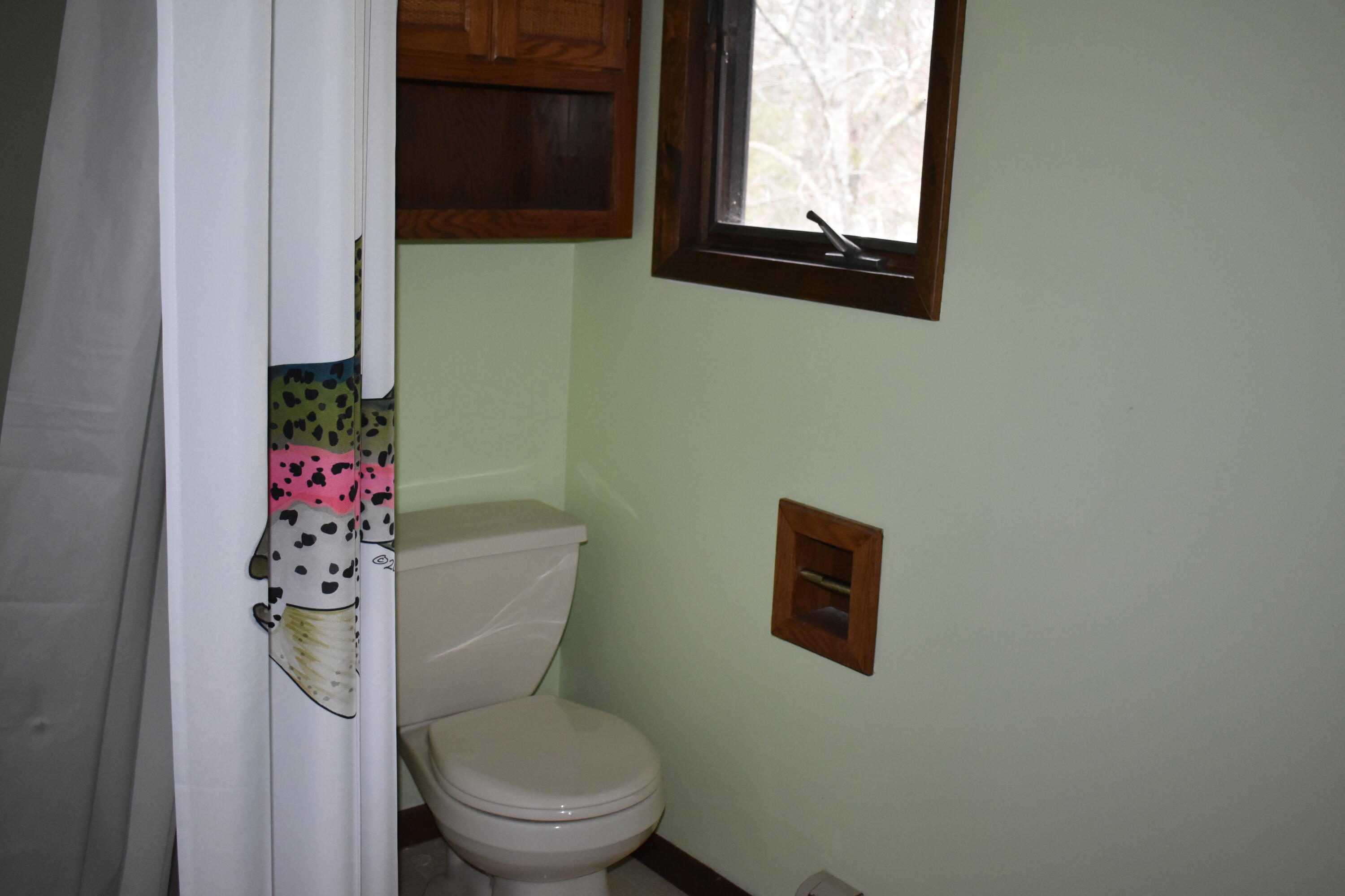 6651 South James Road Baldwin, MI 49304 - Photo 24 of 39 DSC_0574