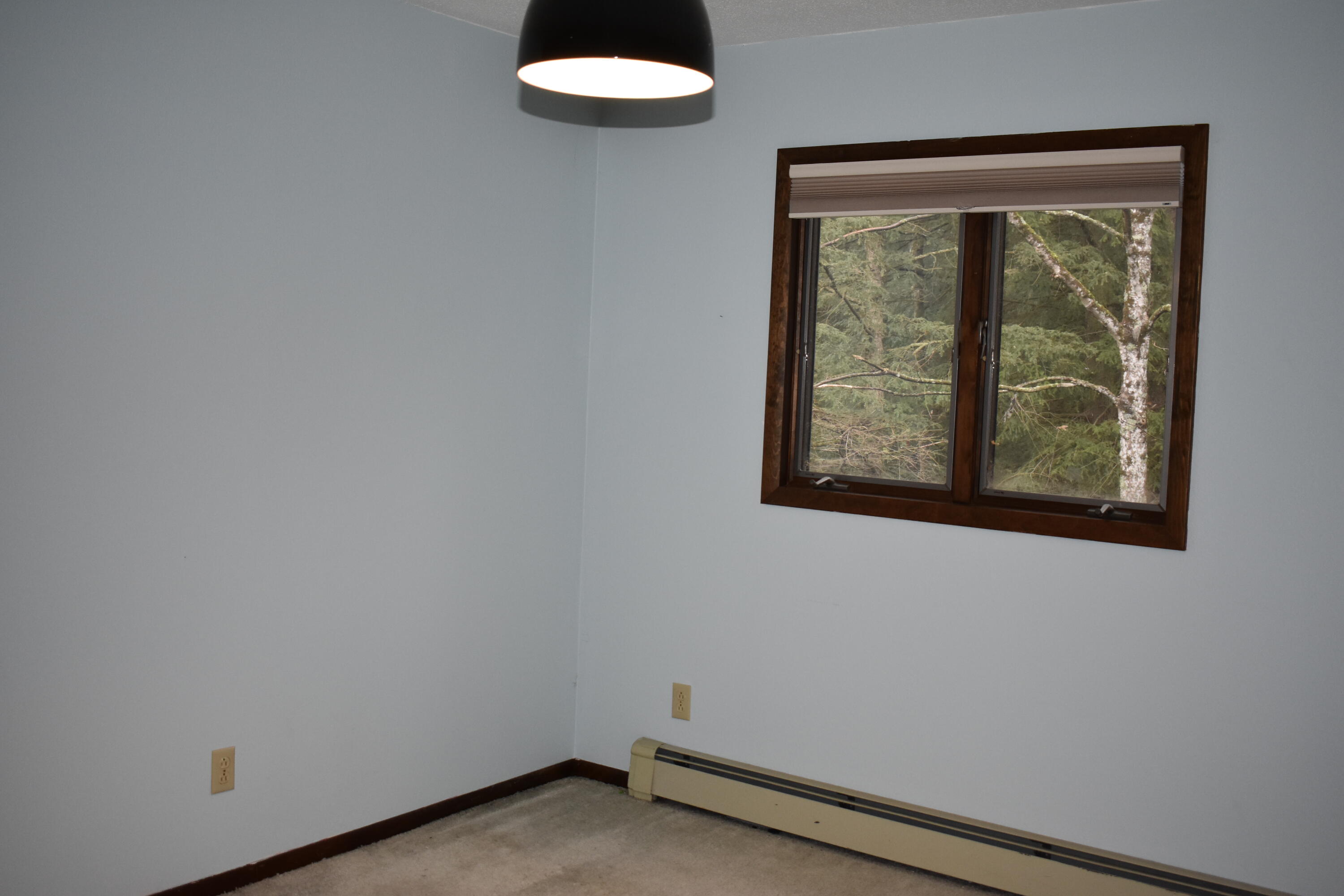 6651 South James Road Baldwin, MI 49304 - Photo 25 of 39 DSC_0575