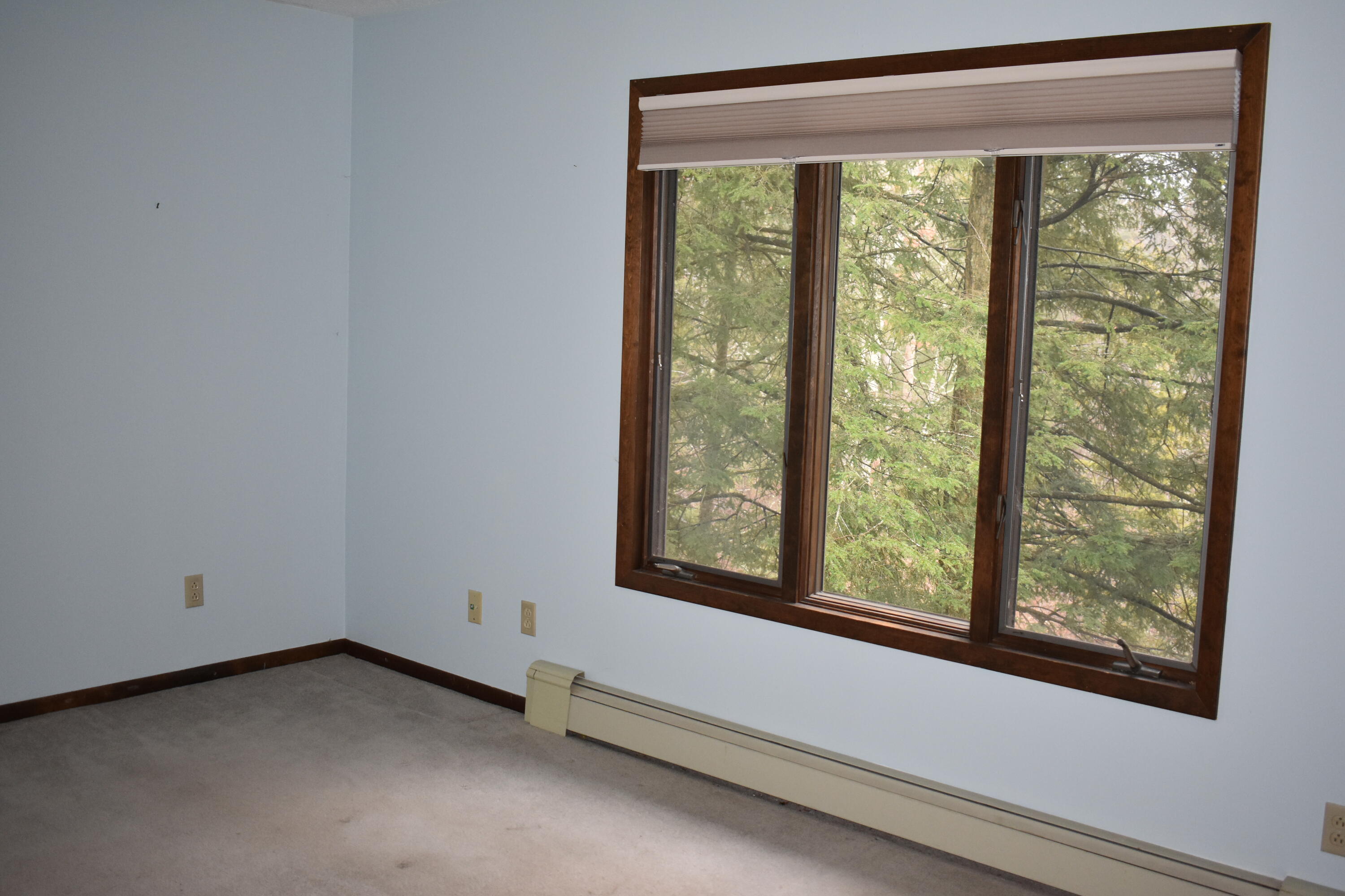 6651 South James Road Baldwin, MI 49304 - Photo 26 of 39 DSC_0576