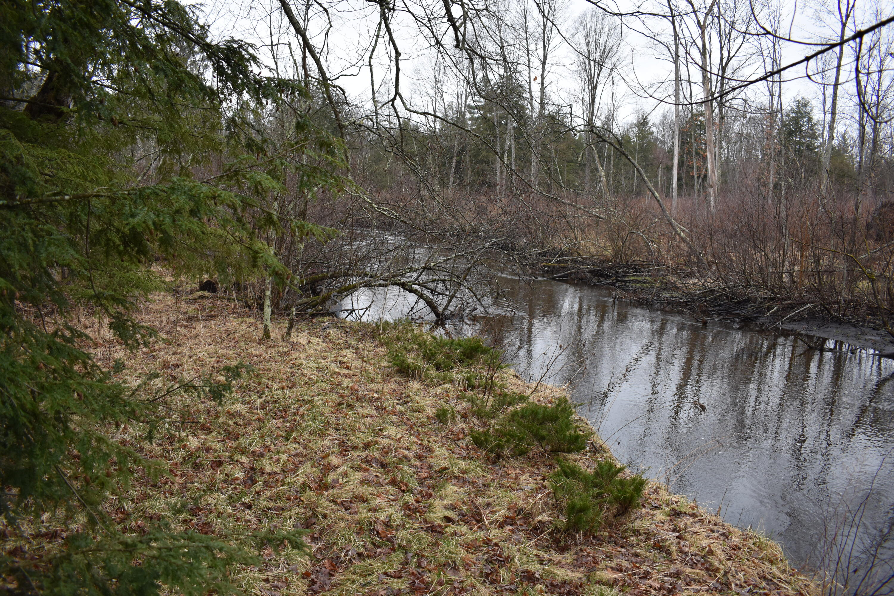 6651 South James Road Baldwin, MI 49304 - Photo 35 of 39 DSC_0550