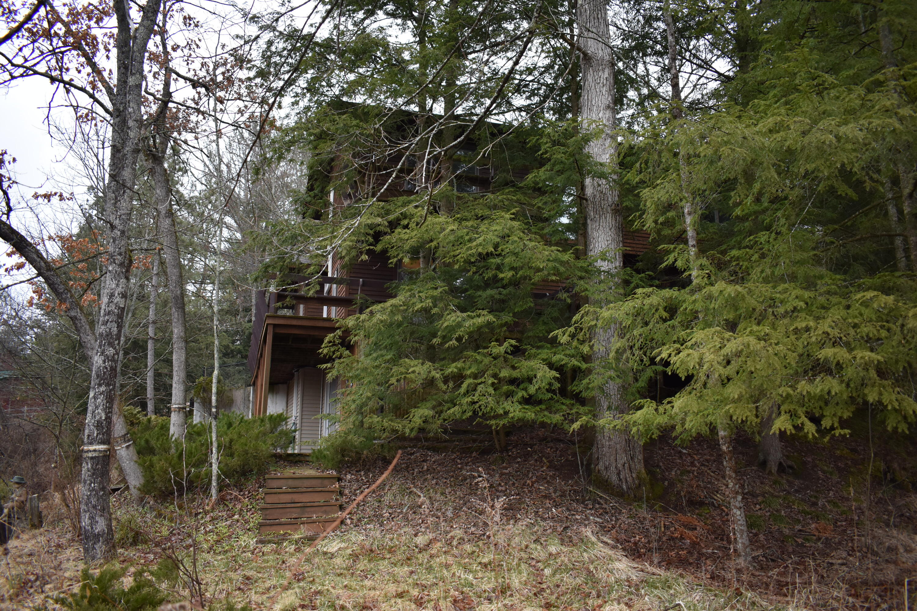 6651 South James Road Baldwin, MI 49304 - Photo 8 of 39 DSC_0549