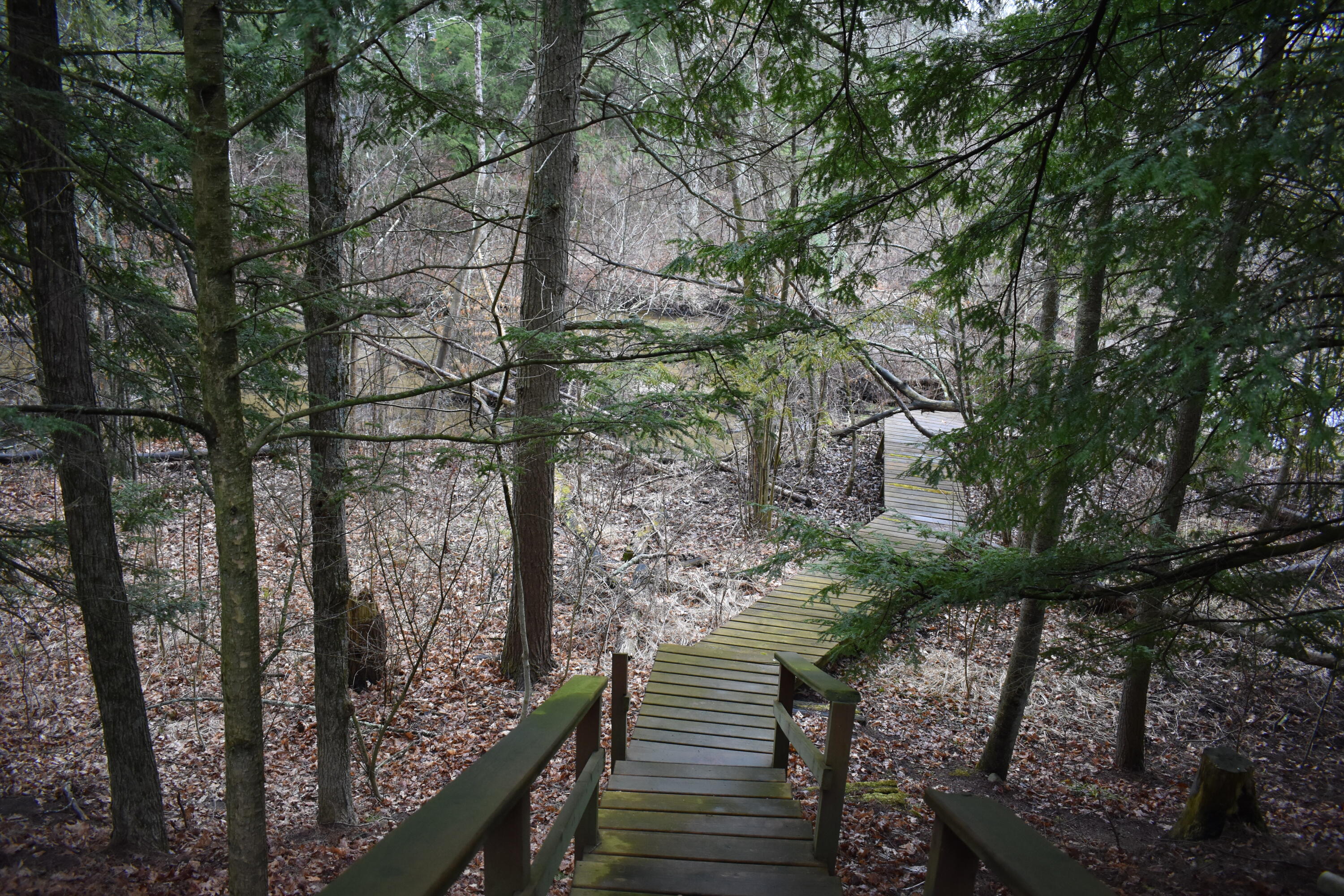 6651 South James Road Baldwin, MI 49304 - Photo 10 of 39 DSC_0546