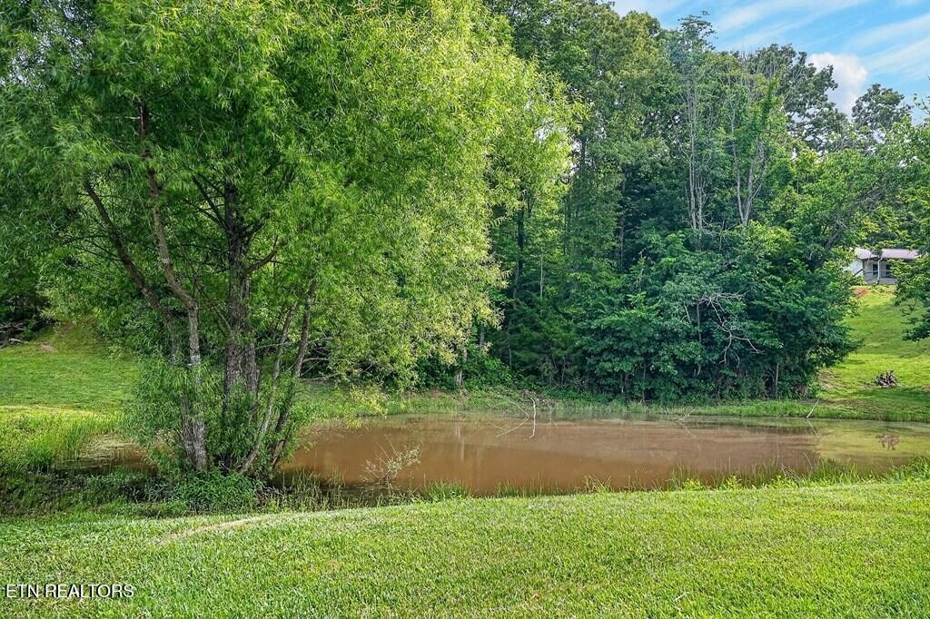 211 Arizona Lane Walling, TN 38587 - Photo 42 of 60