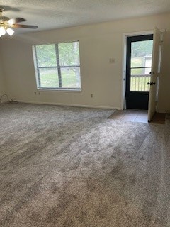 138 B Summer Place Huntsville, TX 77340 - Photo 13 of 17 an empty room with a fireplace and windows