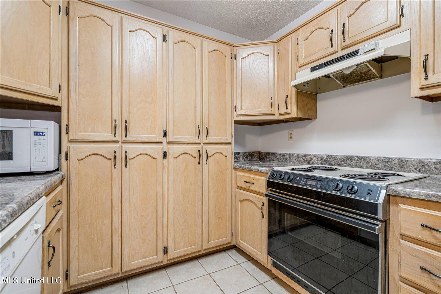 4040 Windermere Drive Nesbit, MS 38651 - Photo 12 of 33 13-13-2627691mi-4040 Windermere Dr