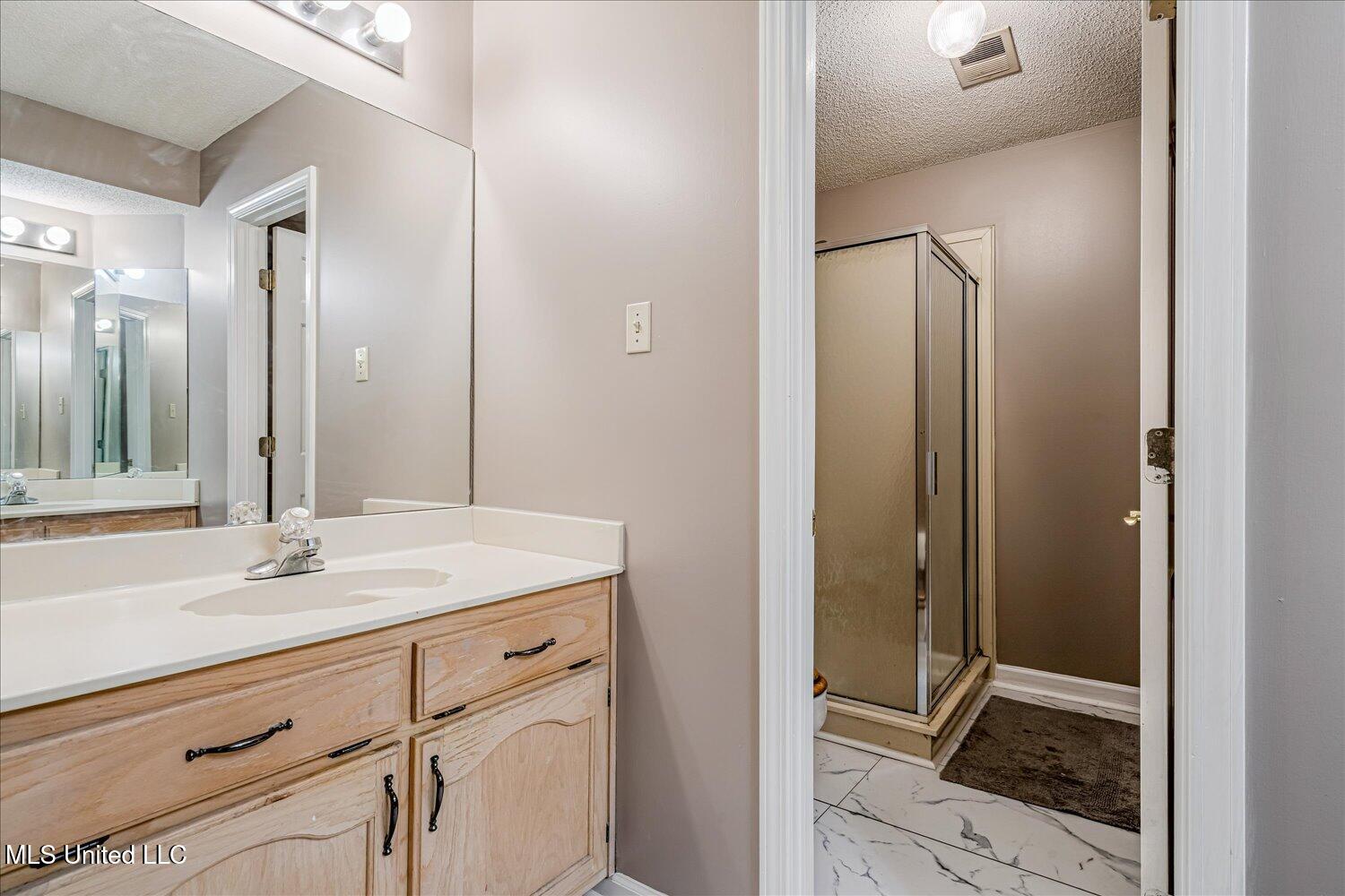 4040 Windermere Drive Nesbit, MS 38651 - Photo 21 of 33 22-22-2627691mi-4040 Windermere Dr