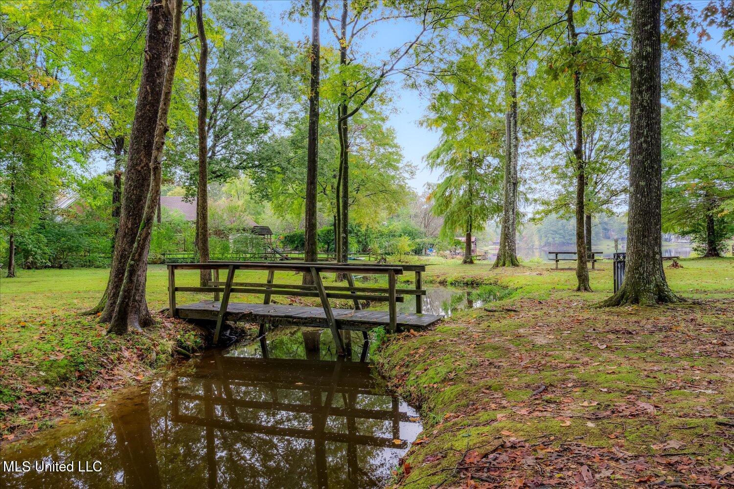 4040 Windermere Drive Nesbit, MS 38651 - Photo 38 of 38 33-33-2627691mi-4040 Windermere Dr