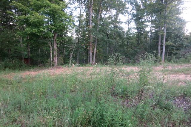 0 Black Road Cunningham, TN 37052 - Photo 1 of 4