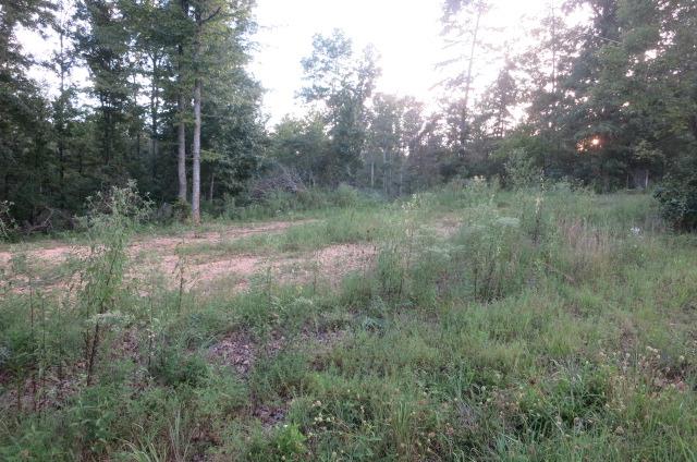 0 Black Road Cunningham, TN 37052 - Photo 2 of 4