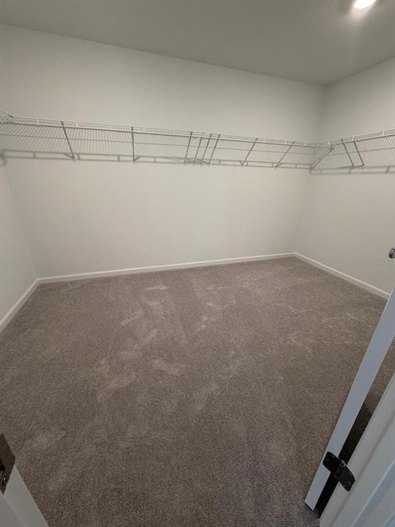 4741 Southwest 83rd Loop Ocala, FL 34476 - Photo 18 of 25 a view of a room with racks on the wall