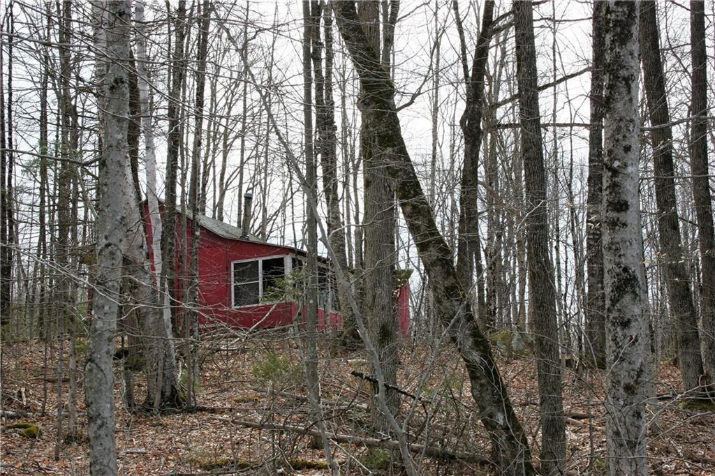 262 Wharff Road Guilford, ME 04443 - Photo 17 of 35 Side view showing the hardwood ridge.
