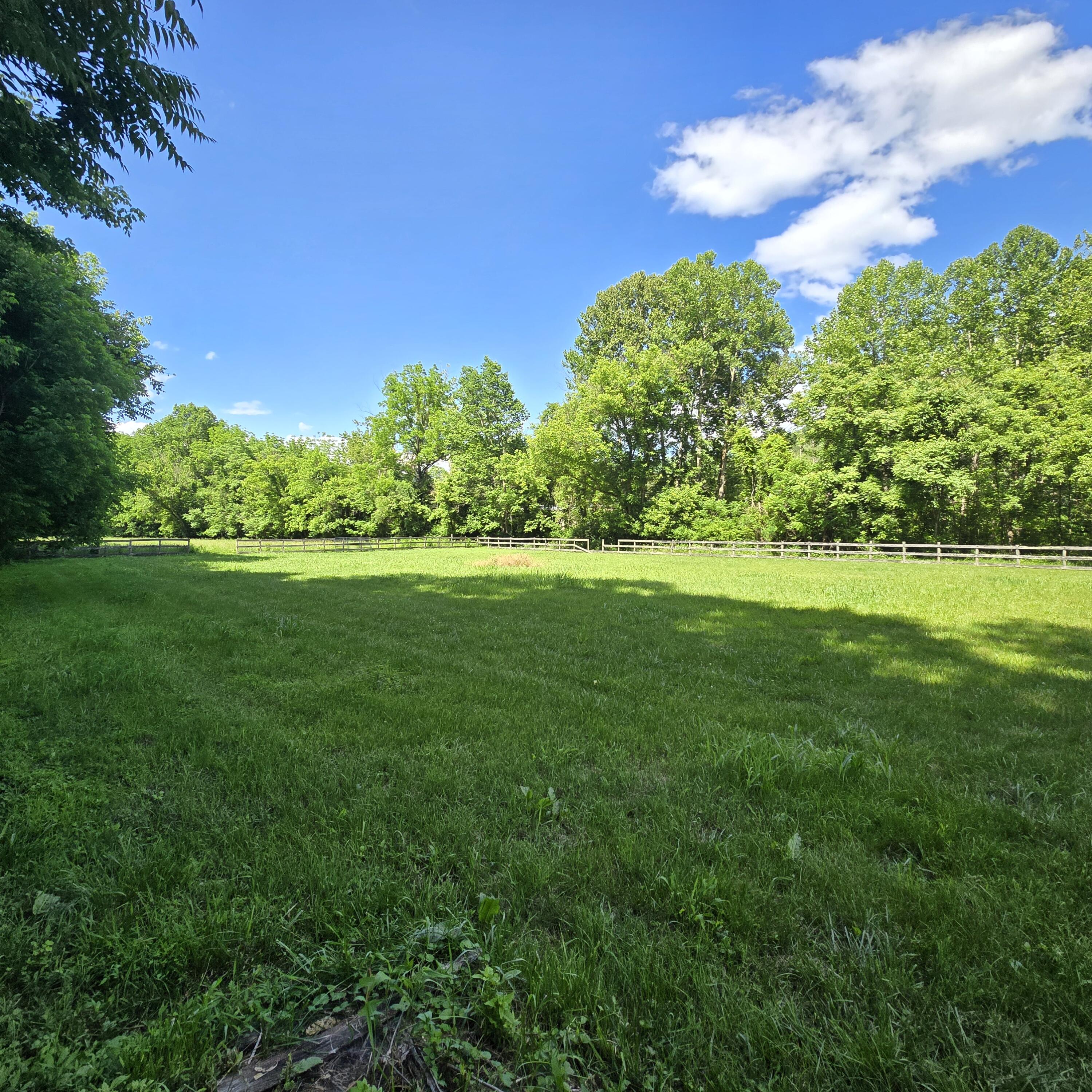 3542 Persimmon Road Shawsville, VA 24162 - Photo 73 of 94 20240528_155053