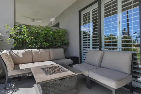 a view of a patio with couches and a potted plant on a table