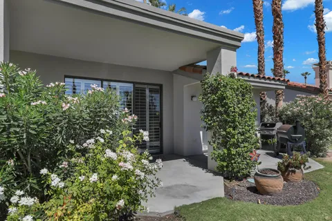 a view of a backyard with plants