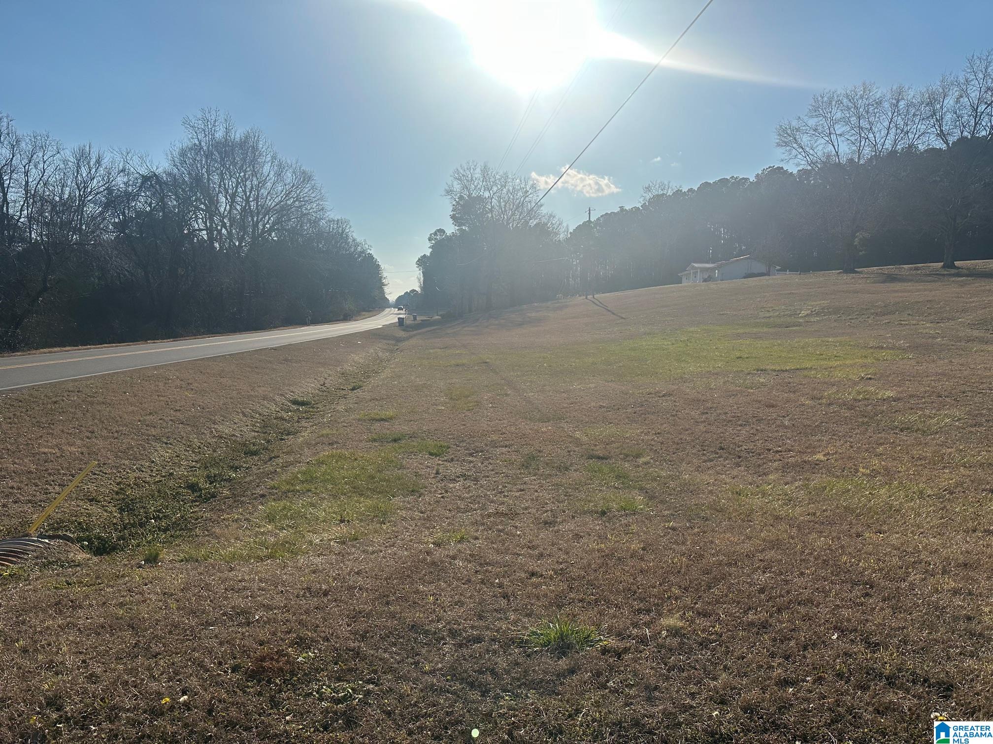 16845 Highway 11 Springville, AL 35146 - Photo 4 of 5