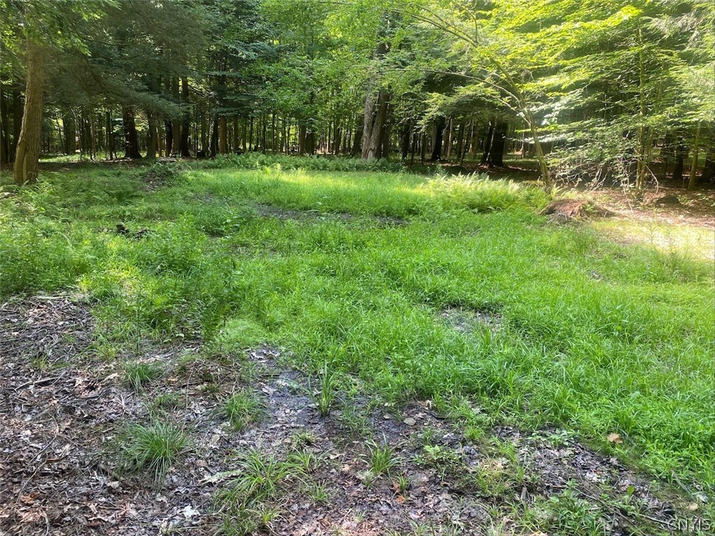 11442 Hooker Road Granger, NY 14846 - Photo 27 of 37 Gallery Image 27