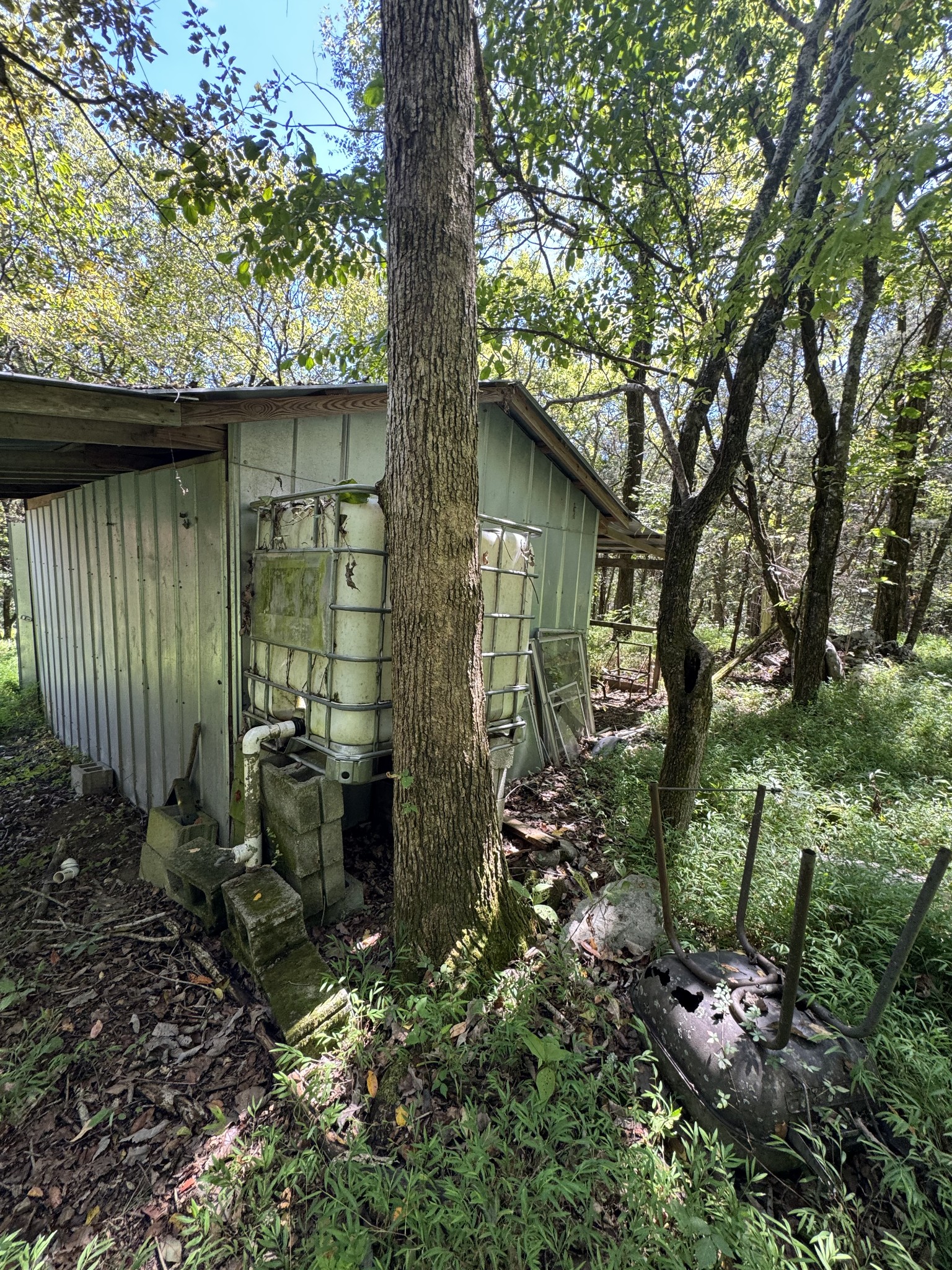 0 Pigg Cemetery Road Petersburg, TN 37144 - Photo 4 of 10 Gallery Image 4