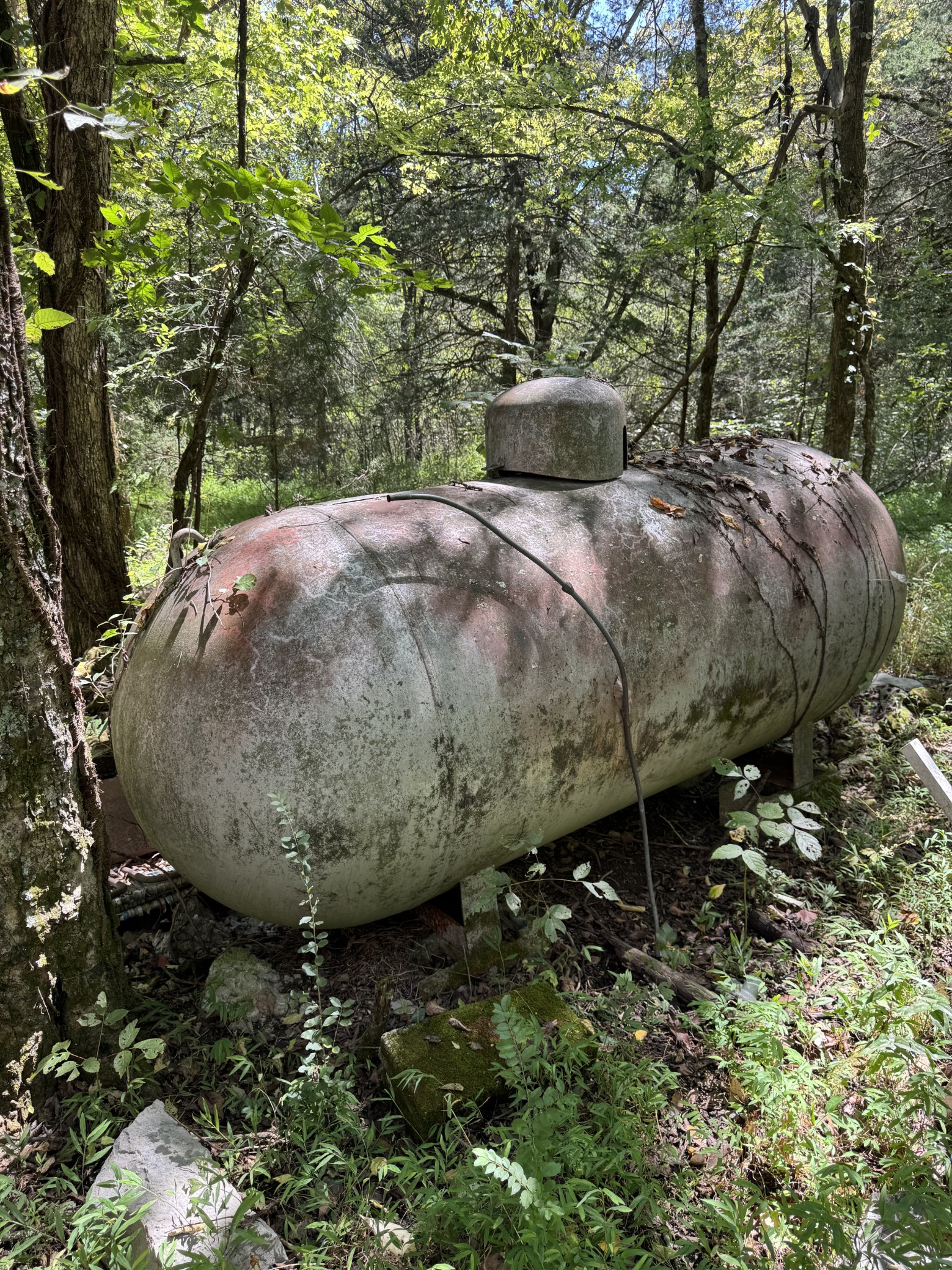 0 Pigg Cemetery Road Petersburg, TN 37144 - Photo 6 of 10 Gallery Image 6