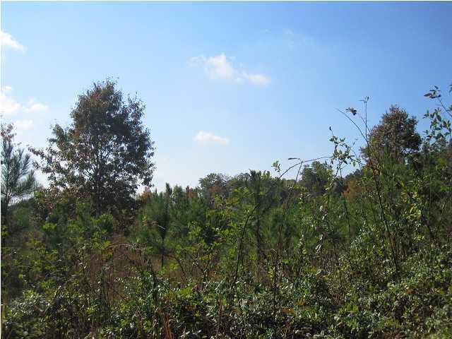 6 Warren Turner Road Northeast Cleveland, TN 37323 - Photo 1 of 1 Primary Photo