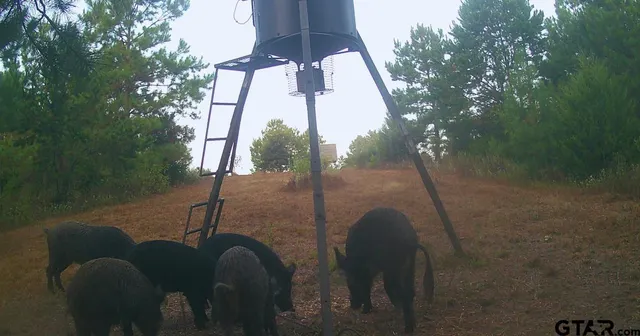 a backyard of a house with lots of green space and garden