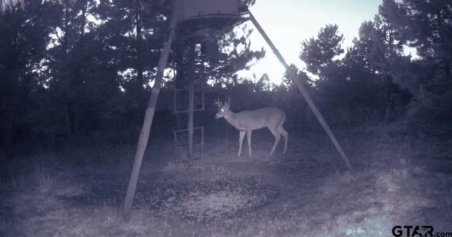 a picture of a bath tub