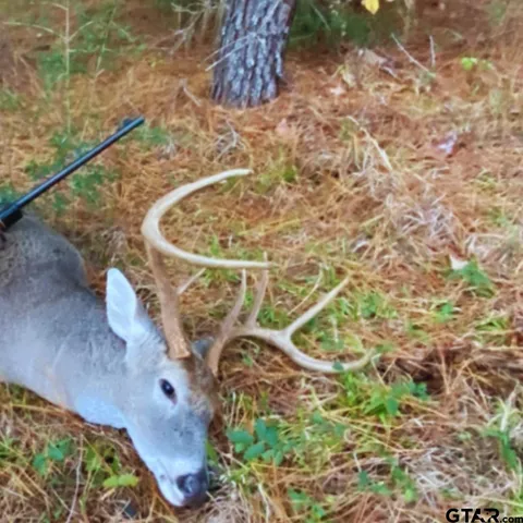 a view of under construction area