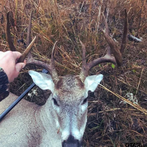 a backyard of a house with lots of trees