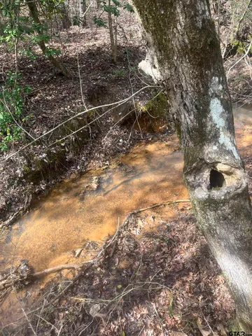 a view of a lake with houses