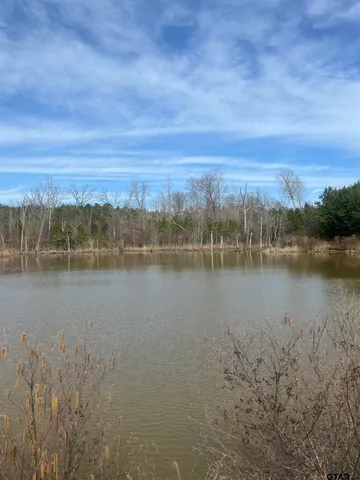 a view of lake with mountain