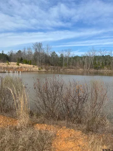 a view of a lake with a mountain