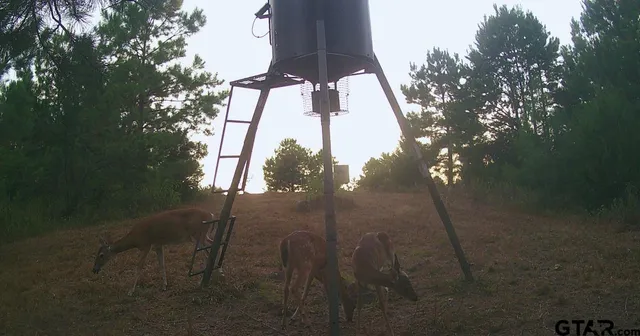 a picture of street view