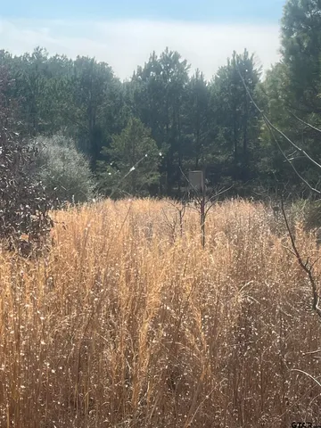 a view of a field of grass and trees