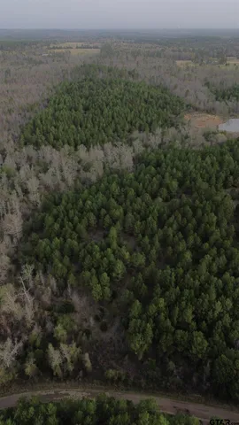 a view of a barn in the middle of a forest