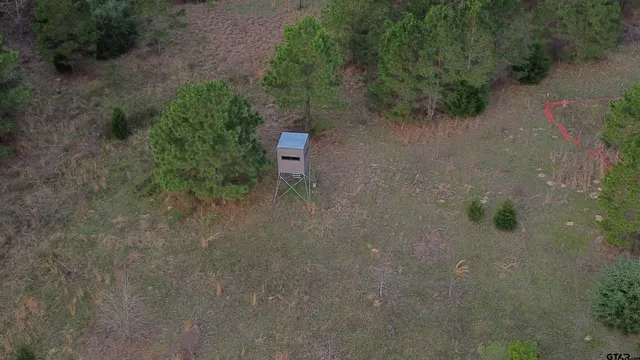 $388,000 | 1634 County Road 1634, Avinger, TX 75630