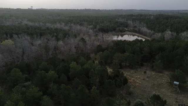 $388,000 | 1634 County Road 1634, Avinger, TX 75630