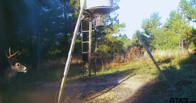 a view of under construction area and trees