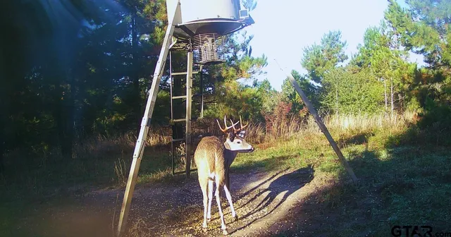 a view of house with yard from window
