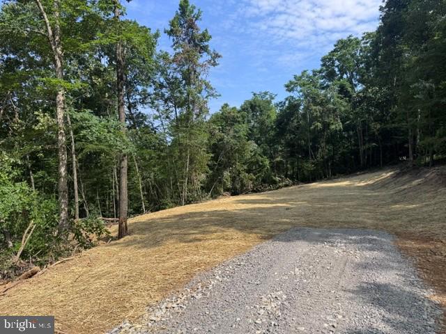 Tbd Locust Grove Road Thornton, WV 26440 - Photo 12 of 24