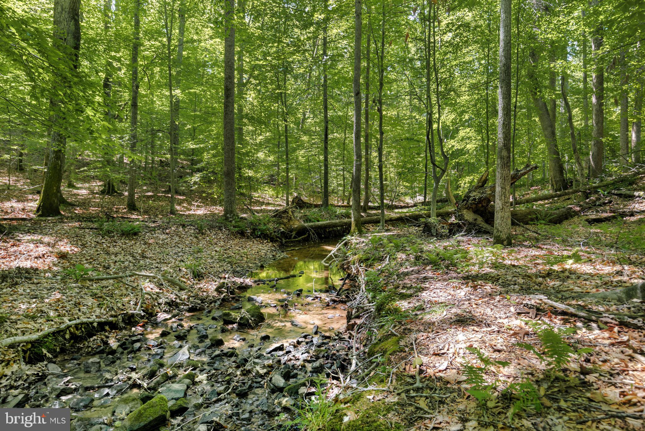 7757 Citation Drive Marshall, VA 20115 - Photo 36 of 42