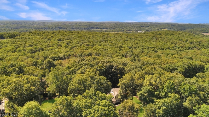 3 Frog Pond Road Blairstown, NJ 07832 - Photo 29 of 30