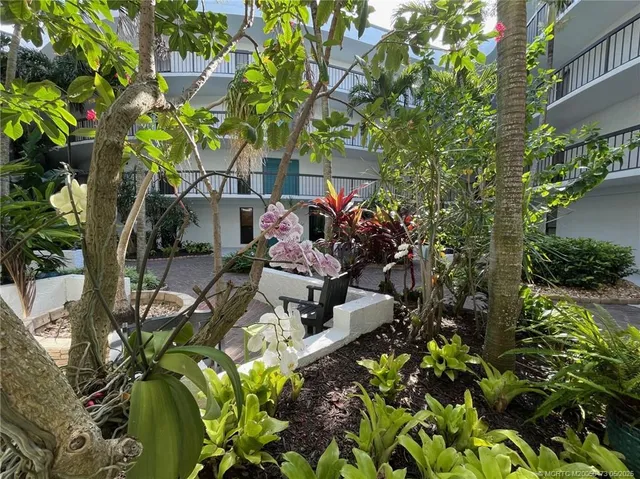 a view of a backyard with plants