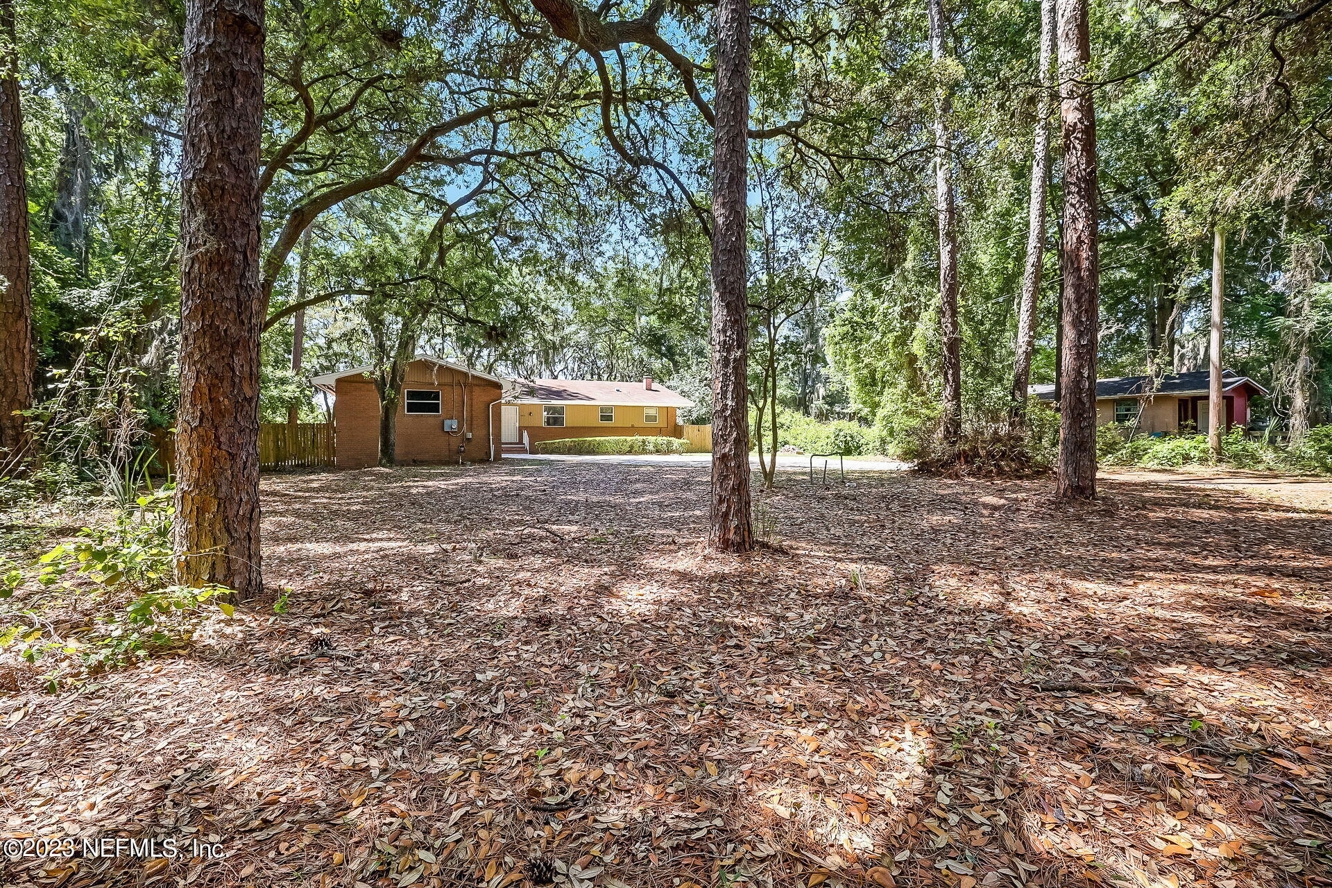 3546 Clyde Drive Jacksonville, FL 32208 - Photo 3 of 50 a view of a trees with a yard