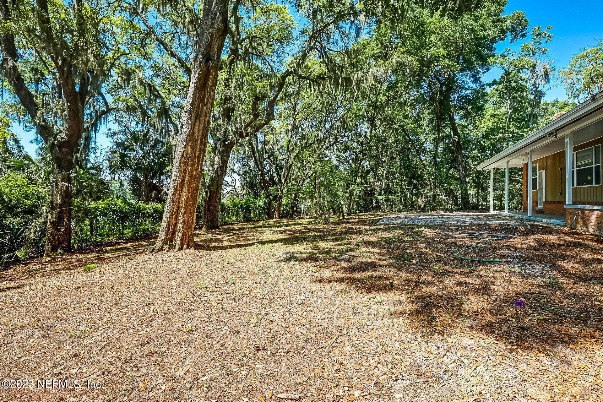 3546 Clyde Drive Jacksonville, FL 32208 - Photo 47 of 50 a view of backyard of house with green space