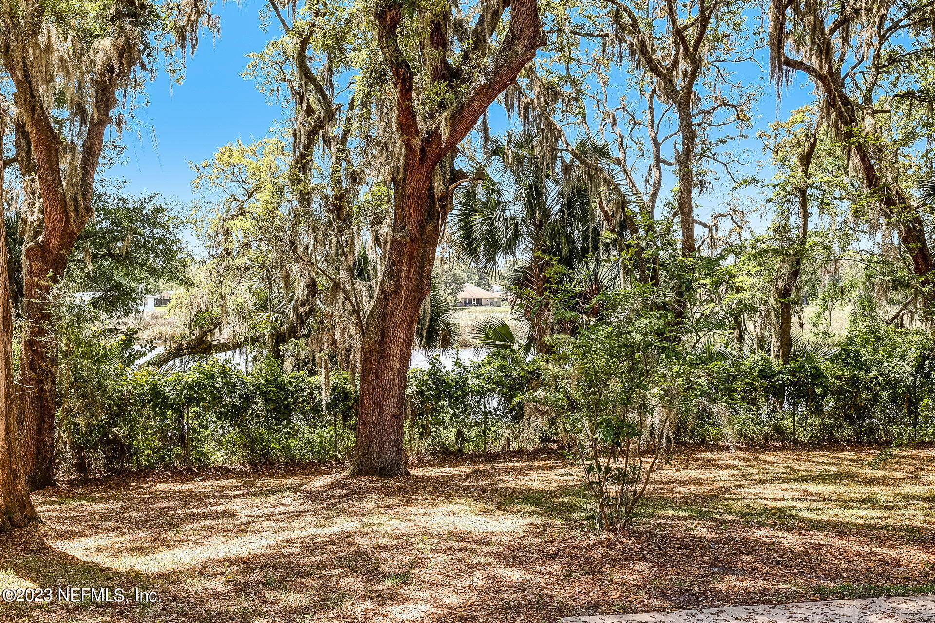 3546 Clyde Drive Jacksonville, FL 32208 - Photo 50 of 50 a view of a yard with large trees