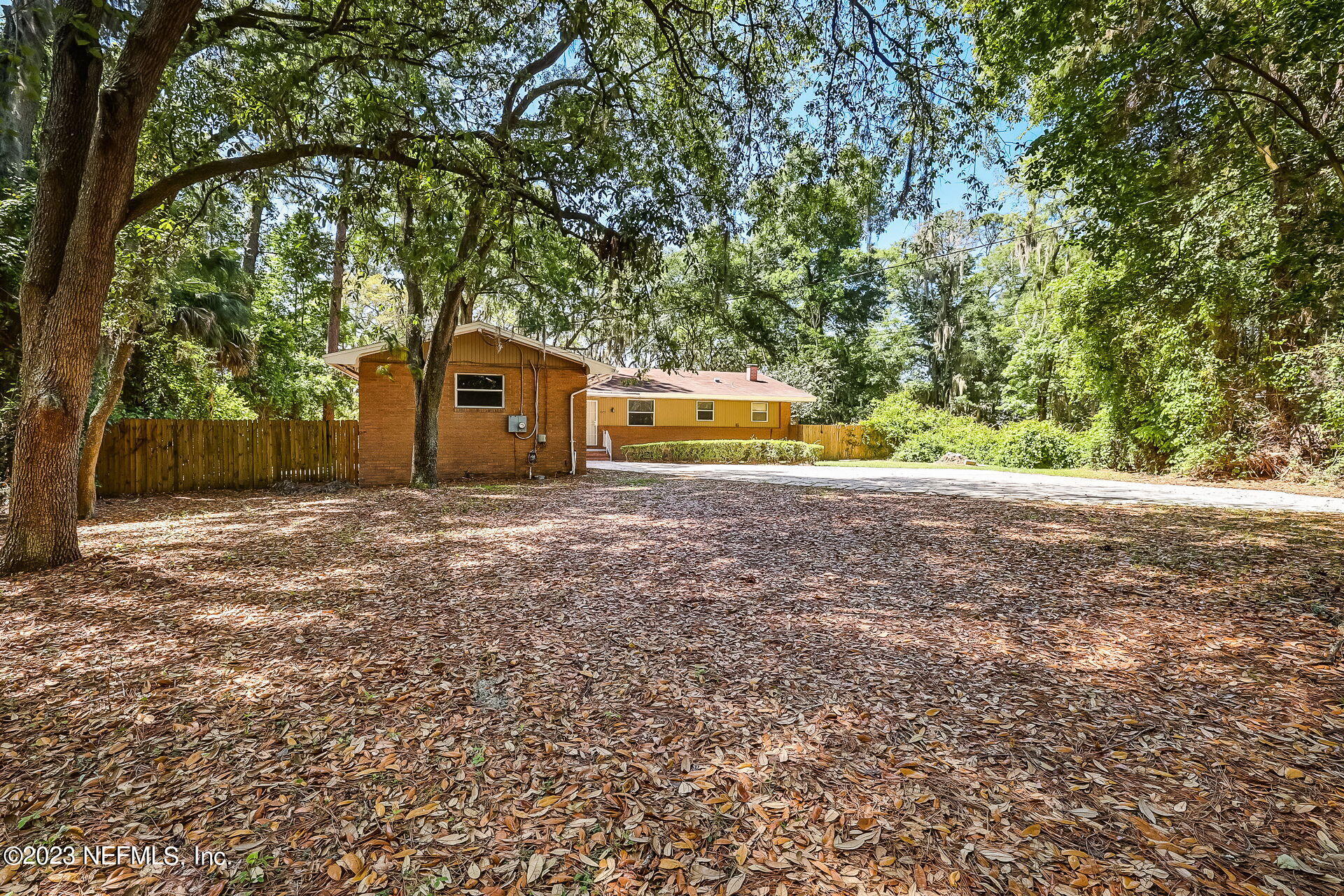 3546 Clyde Drive Jacksonville, FL 32208 - Photo 5 of 50 a view of a house with a yard and large tree