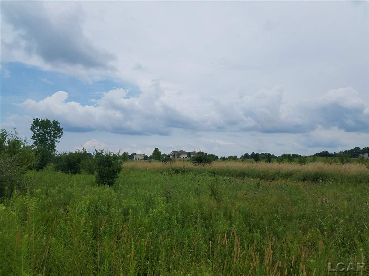 1000 Ives Road Tecumseh, MI 49286 - Photo 3 of 4