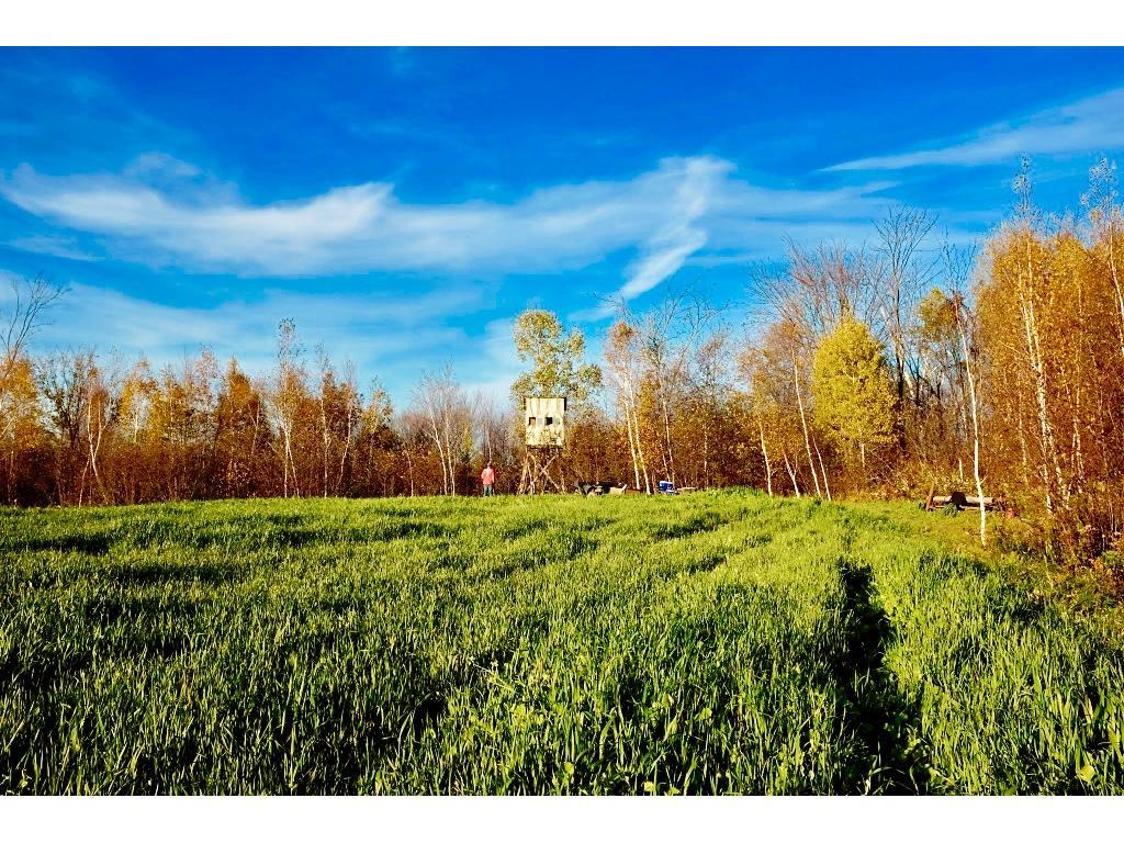 1 Park Hills Road Bruno, MN 55712 - Photo 1 of 1 Gallery Image 1