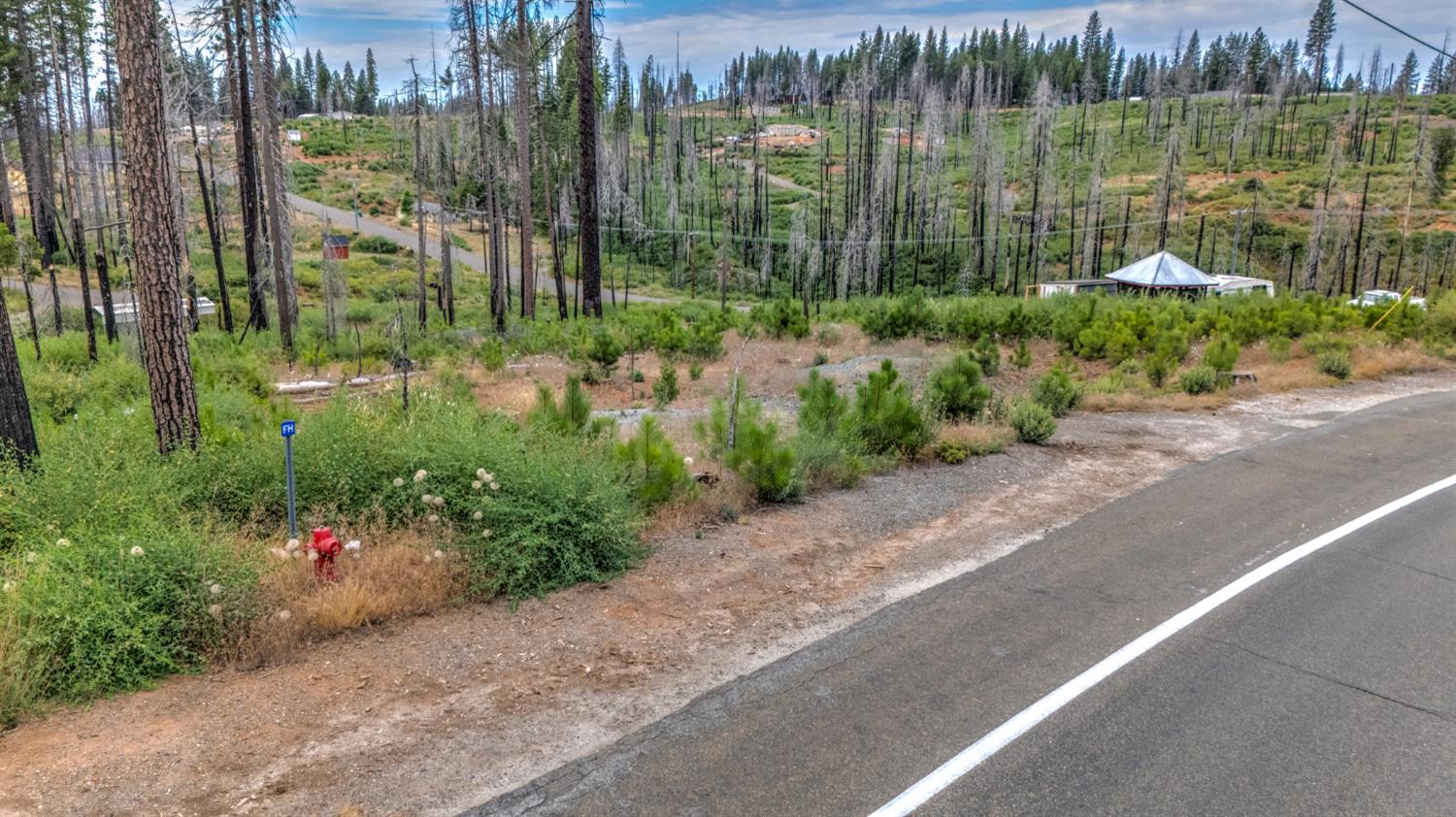 4529 String Canyon Road Grizzly Flats, CA 95636 - Photo 12 of 17